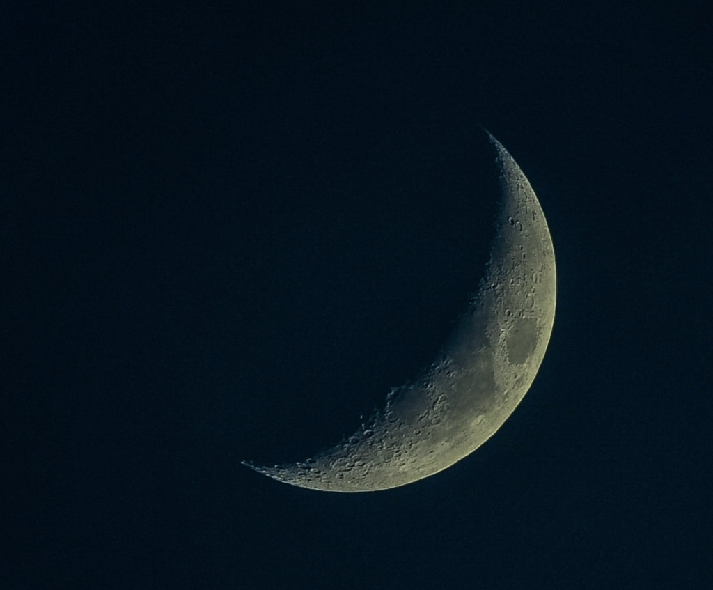 Close up of a waxing crescent moon detailing craters and lunar seas.